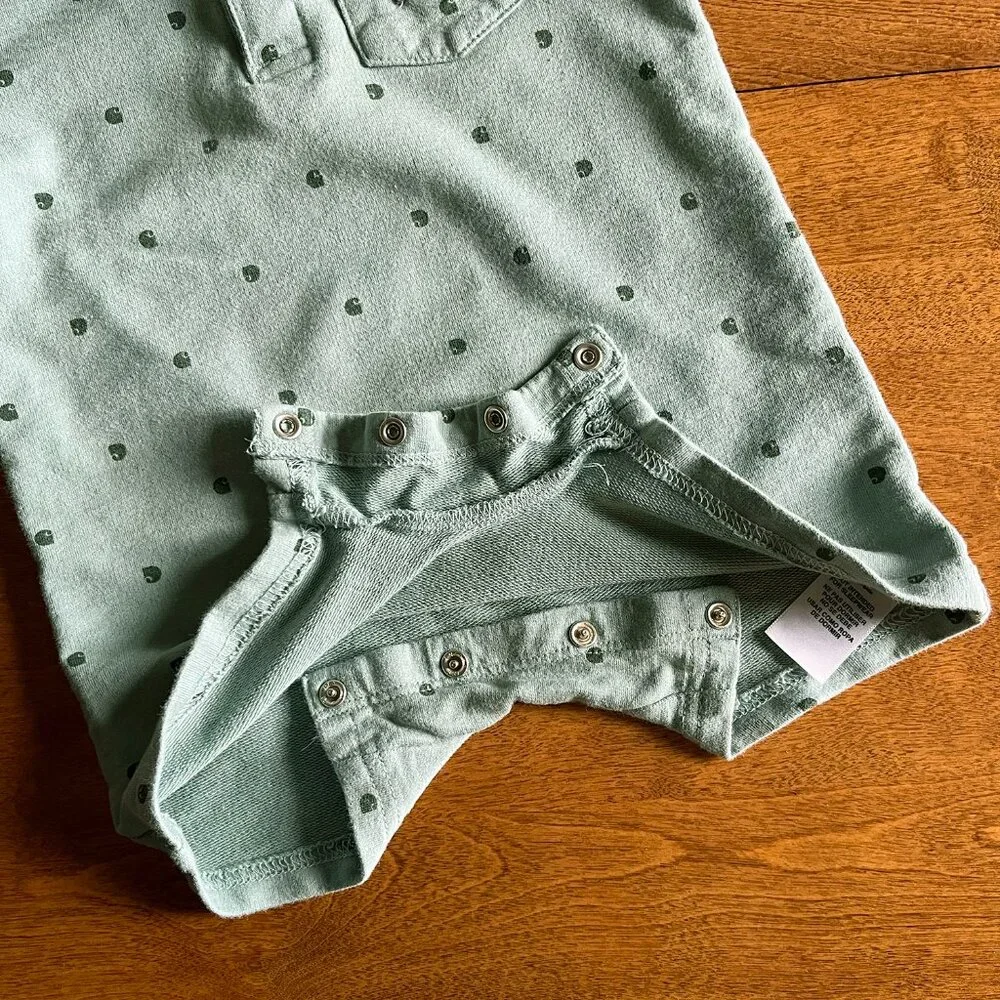 Carhartt sage color wash
